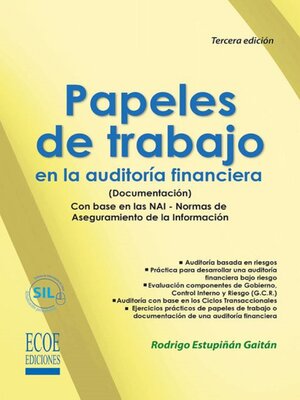 cover image of Papeles de trabajo en la auditoría financiera (Documentación)